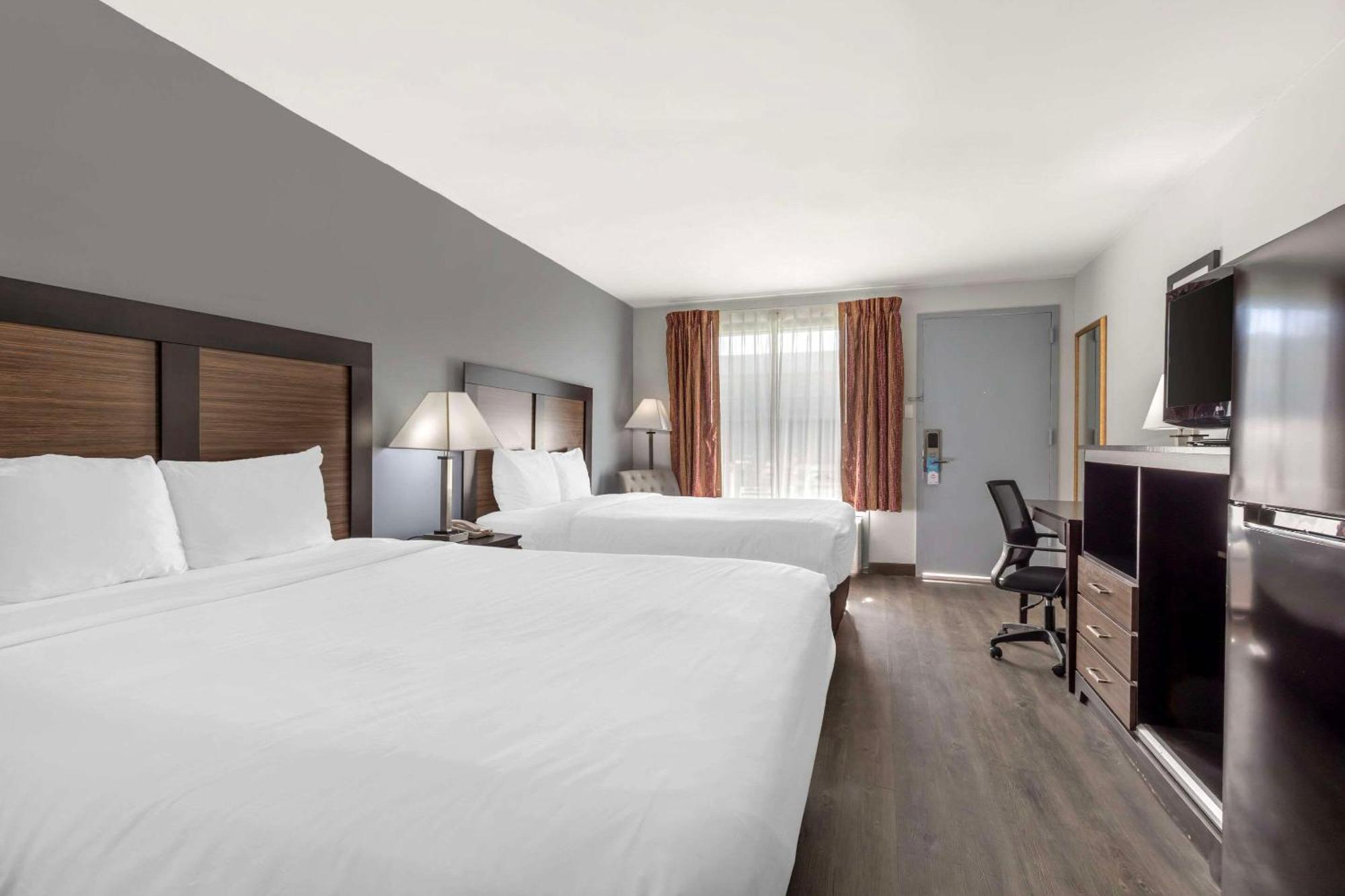Quality Inn גיינסוויל מראה חיצוני תמונה